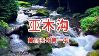 德系时尚A级车，颜值高、油耗低，配无边框车门，解读大众凌渡