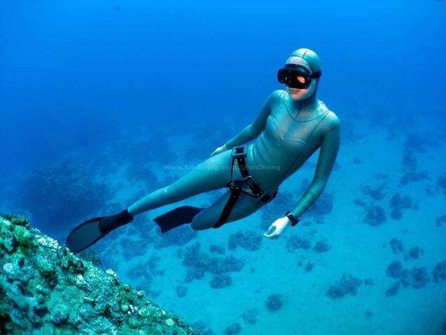 海底的秘密