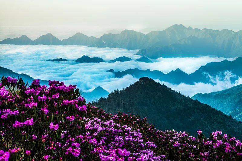 韩媒:赛前有人开玩笑日韩会在16强赛碰面,现在正逐渐变成现实